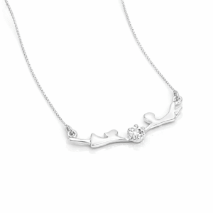 Colar Prata Casal Coração Cravejado